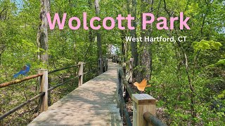 Scenes from Wolcott Park in West Hartford Connecticut [upl. by Groeg]