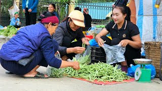 Harvesting Green Bean Garden goes to the market sell cooking  Ly Thi Tam [upl. by Auqinet]