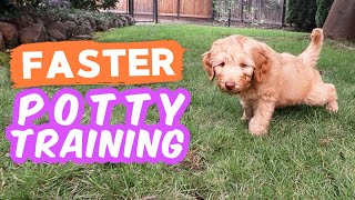 6 Potty Training Secrets NOBODY Shares 🐶 Seriously try these with your puppy [upl. by Adnolaj]