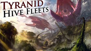 The Tyranid Hive Fleets Explained  Warhammer 40k Lore [upl. by Gypsy]