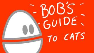 Bobs Guide To Cat Owning [upl. by Gracye]