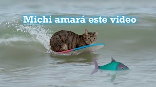 JUEGOS PARA GATOS  Ver atrapar pez en pantalla Video con sonido de mar PECES Relajante para Michi [upl. by Anirdnaxela624]