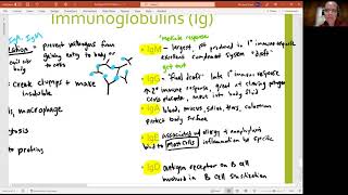 The Division Classes Explained  How Do Classes Work  Division Gameplay [upl. by Corrinne]