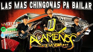 Popurri Los Alameños🔥Las Mas Chingonas PaBailar MIX 🔥 Huapangos y Cumbias Sierreñas [upl. by Odnala]