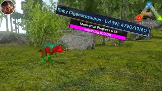 BREEDING AND IMPRINTING GIGA ARK SURVIVAL EVOLVED MOBILE [upl. by Laen61]