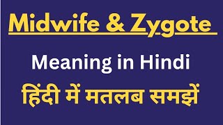 Midwife amp Zygote meaning in Hindi Midwife amp Zygote ka matalab kya hota hai midwifery Zygote [upl. by Nachison]