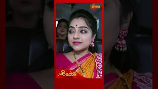 Sevanthi  Udaya TV  shorts [upl. by Oiliduab]