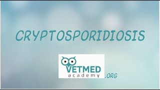 Cryptosporidiosis [upl. by Myrtie217]