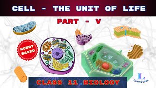 Cell  The Unit Of Life  PART  V class 11 Biology  NCERT  COHSEM  CBSE [upl. by Luz]