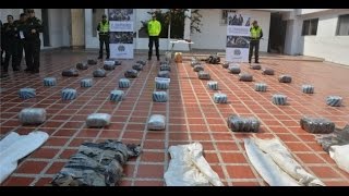 Policía incauta en Soledad y Barranquilla más de 300 kilos de marihuana [upl. by Celik]