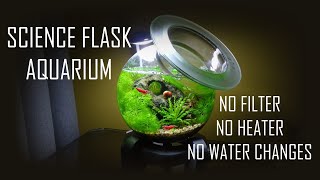 SCIENCE FLASK AQUARIUM  No filter No heater Miniature setup tutorial [upl. by Ferna]