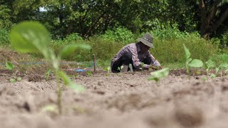 Hechos del Agro  Finca agroecologica [upl. by Llenwad]