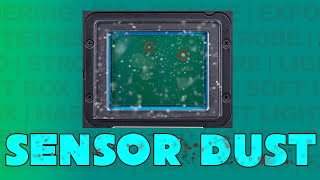 Keeping Your Camera Sensor Clean [upl. by Duggan956]