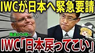 【海外の反応】IWCが返り討ち笑！とんでもない数の国がIWC大量脱退＋巨額賠償で大ピンチw【ゆっくり解説】 [upl. by Nahtonoj]