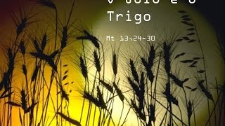 PARABOLA DO TRIGO E JOIO Parte 2 OInimigo [upl. by Pickett894]