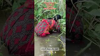 చెల్లితో చేపల వేట🐠🥺😍DAY8fishing fishingvideo villagevlog villagefishinglife ytshorts fish [upl. by Balling]