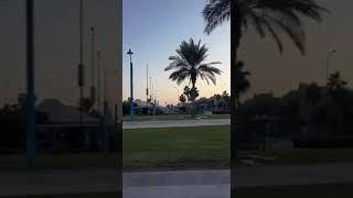 On the way to Hilton resort in Qatar🇶🇦😃youtubeshorts qatar resort foryou type [upl. by Jacqui535]