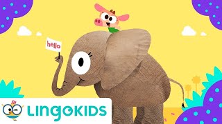 COWY HAS AN ELEPHANT 🐘  Nursery Rhymes  Lingokids [upl. by Hpotsirhc]