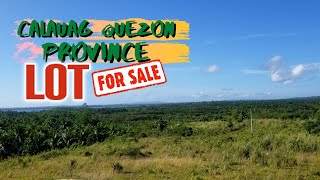 7 HILLTOP VIEW  LOT FOR SALE  CALAUAG QUEZON PROVINCE  coconut farm for sale [upl. by Barnes333]