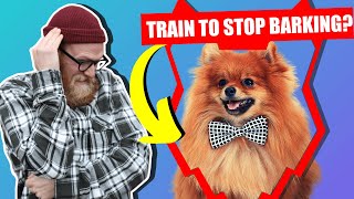 How To Stop Your POMERANIAN Barking [upl. by Ecnar]