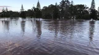 Jimboomba Australia flood 2017 [upl. by Novy]