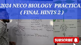 2024 NECO BIOLOGY PRACTICAL  FINAL HINTS 2 [upl. by Corene]