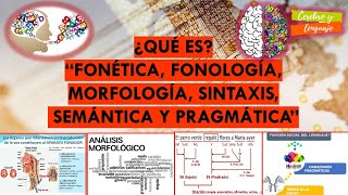 ¿Qué es Fonética Fonología Morfología Sintaxis Semántica Pragmática Temas sobre lenguaje [upl. by Benia164]