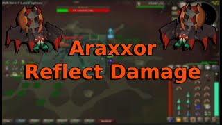 OSRS  Reflecting Damage to Araxxor  Araxxor Speed Run Meta [upl. by Celesta]