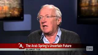 Robert Fisk The Arab Springs Uncertain Future [upl. by Haliled]