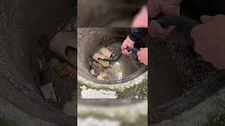 Take a look at what came out of this drain pipe [upl. by Nosnev804]