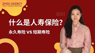 寿险｜什么是人寿保险？详细介绍终身寿险和短期寿险的异同 [upl. by Vidovik]