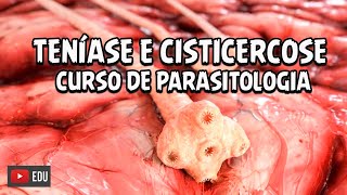 CICLO DA TENÍASE E CISTICERCOSE  CURSO DE PARASITOLOGIA│ Biologia com Patrick Gomes [upl. by Eeruhs]