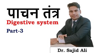 BiologyDigestive SystemSmall Intestine by Dr Sajid Ali [upl. by Nylhsoj]