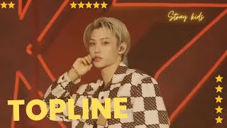 STRAY KIDS  quot TOPLINE quot 😍💓 5STAR Dome Tour 2023  Nagoya Vantelin  D2  03092023 [upl. by Jacobah]