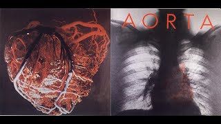 AORTA  SELFTITLED FULL ALBUM  U S UNDERGROUND  1969 [upl. by Arretnahs]