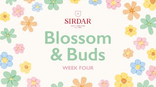 Sirdar Blossom amp Buds Crochet Along Week 4  Falling Blossom [upl. by Viking312]