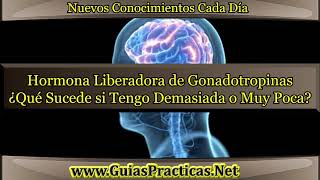 Hormona Liberadora de Gonadotropinas ¿Qué Sucede si Tengo Demasiada o Muy Poca [upl. by Lola]