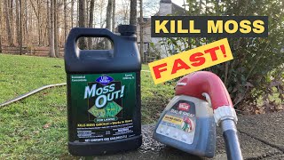 Kill Moss in your lawn fast Moss Out Liquid concentrate  Fast Results [upl. by Schwinn859]