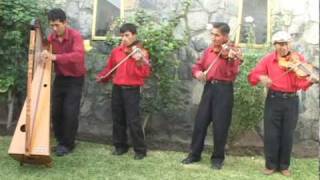 LIRIOS DE LLATA  Arpa y Violin Huamaliano  Huanuco [upl. by Anialam]