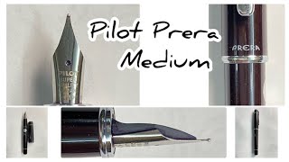 Revisit Series  Four year old Pilot Prera  Medium [upl. by Rhodia]