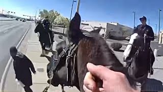 Albuquerque Police Officers Chase Shoplifting Suspect on Horseback [upl. by Eidnalem]