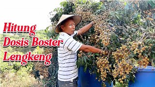 Cara hitung dosis boster lengkeng adyrajalengkeng lengkeng itohsuper newkristal greengarden [upl. by Fortier]