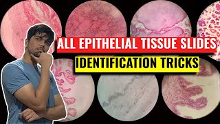 All Epithelial Tissue Identification Tricks  Anatomy Practicals Histology  1st Year MBBS IOM TU [upl. by Schultz]