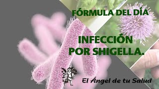 TRATAMIENTO NATURAL PARA LA INFECCIÓN POR SHIGELLA [upl. by Hnah900]