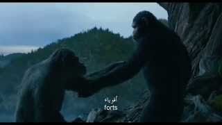 Dawn of the Planet of the Apes  Apes together strong [upl. by Calysta]