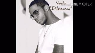 VedoDilemma Lyrics [upl. by Southard790]