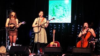 The Mae Trio  Maldon Folk Festival 2016  quotMr Moonquot [upl. by Nerti344]