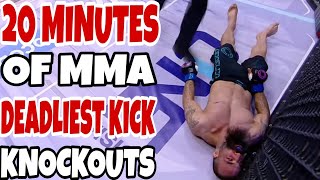 20 Minutes of Deadliest Kick in MMA Knockouts 2024 [upl. by Repsag]