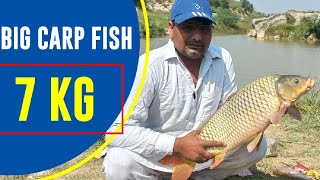 FISHING AT GUJAR KHAN JABBAR SAREEN CATCH CARP FISH mangladamfishing gujarkhan livefishing [upl. by Vic559]