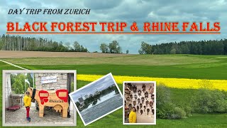 GERMANY BLACK FOREST  TITISEE visit  CUCKOO CLOCK RHINE FALLS  DAY TRIP FROM ZURICH [upl. by Boar]